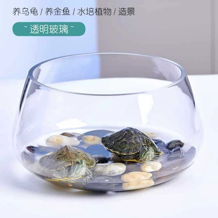 Аквариум стеклянный круглый стол Зеленая водяная попа Домашняя рыбка креативная прозрачная маленькая мини-столешница Черепаха