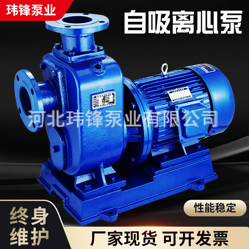 80BZ-30型自吸式排污泵 自吸直联泵 自吸离心泵