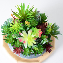 仿真多肉植物绿植装饰品仙人掌室内办公室小摆件组合盆栽盆景批发