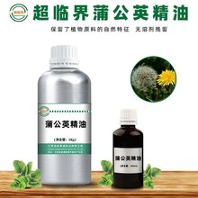 蒲公英精油 源头工厂超临界萃取原料 单方脂溶 50ml