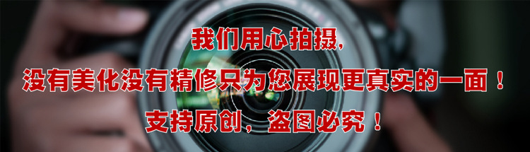 盗图必究
