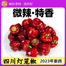 ���\��������500g�Ĵ���������΢�������üt�A���\��؛����