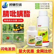 �ծa���W�M�C�o 30%�����\�������O����t֩������~�\�x���\��