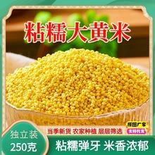 ���ږ|�����S������250gճŴ�������S�כ����r�ҴּZ�s�Z�����