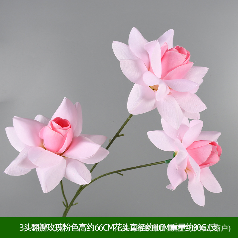 情人玫粉色