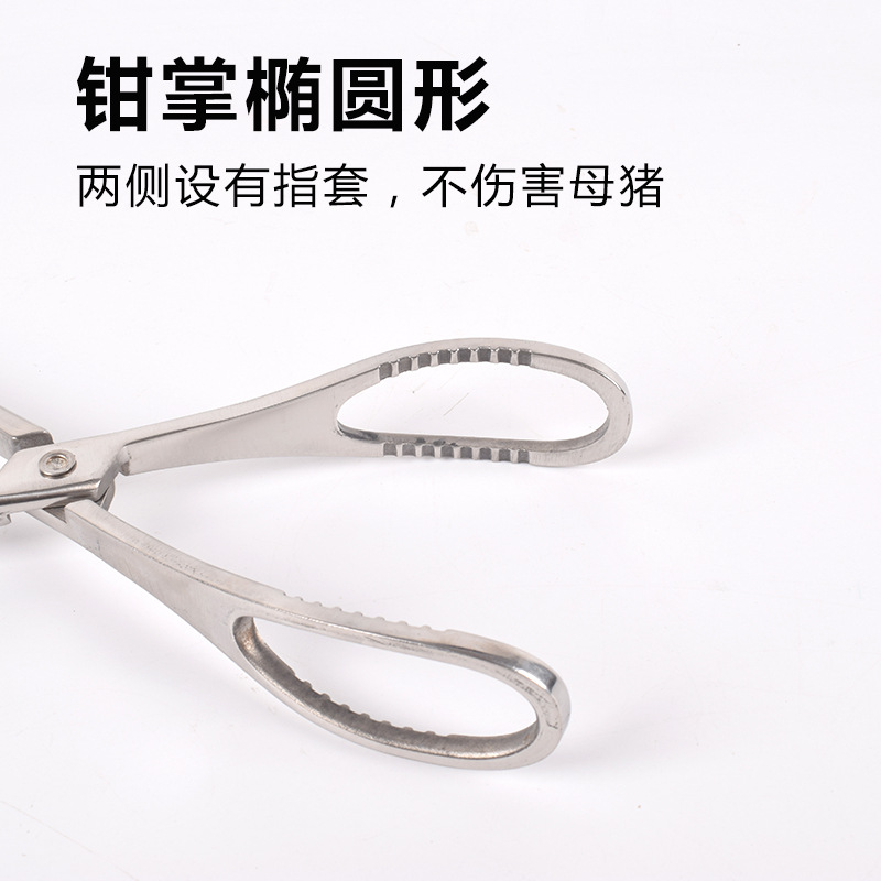 Cerdo Cuerda de ayuda al parto veterinaria Gancho de ayuda al parto Pinza de ayuda al parto Pinzas de ayuda al parto Herramienta de ayuda al parto distocion artefacto removedor de cerdo
