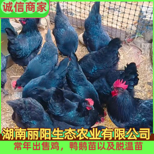 ���l����߮a�G�����u����w������B�ߵ��u���M�ṩ�Bֳ���gָ��