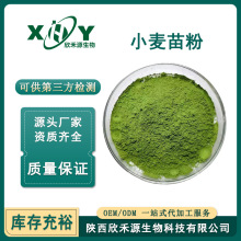 小麦苗粉 麦苗汁粉代餐粉 小麦苗提取物水溶性好 食品原料 现货