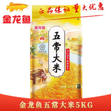 �����~�����峣����5kg���b GB/T19266�����������ஔ������10��