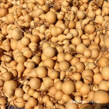 ��ɫ�ְѼ�������Ȼ��܇��Nֲ�͏d���J���JƤ��������^�Ʒ�ֹ�