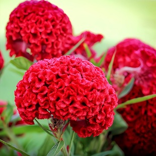 ���U�����u�ڻ��N�Ӵ����u�������^���u�ٻ��ѻ����̨���Դ���