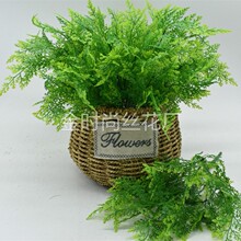 ����Сާ�� �Gɫާ�С�� ����ֲ�����b��������ާ�˹��