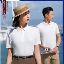 �ļ�����o�ۛ��ж���POLO���̄����e�\���ٸɷ��IT����Ůͬ��