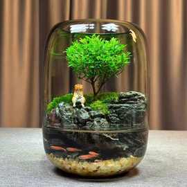 生态水培植物瓶玻璃花瓶装饰微景观小鱼缸办公室桌面客厅摆件批发