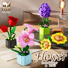 ��ľ����װ�ΰڼ�����Ů��ƴװ��������������13034