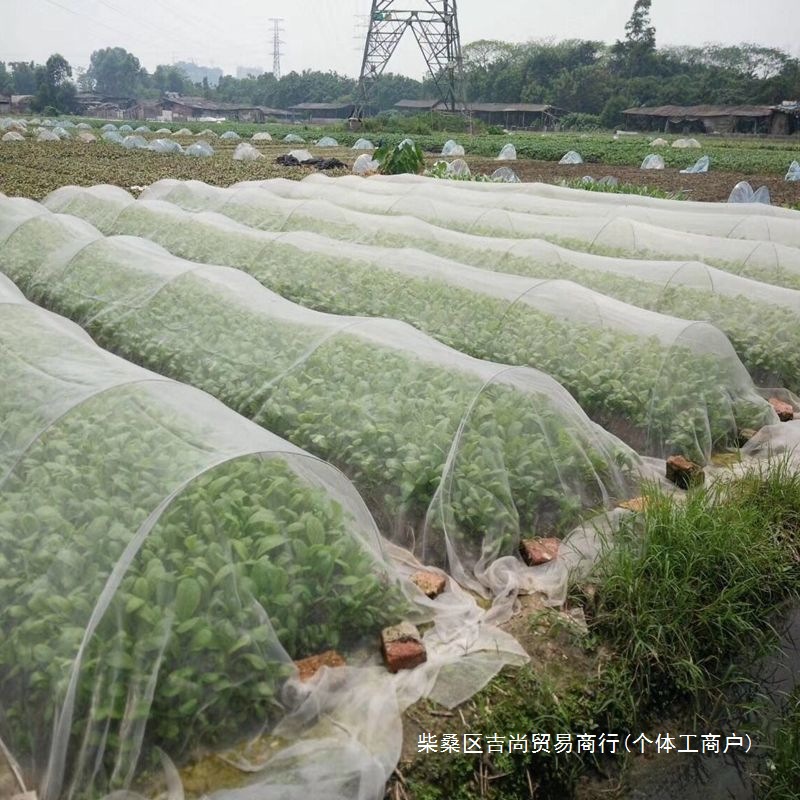 防虫网果园蔬菜农用大棚防蚊防虫害防柳絮棉围网白色抗老化加厚网