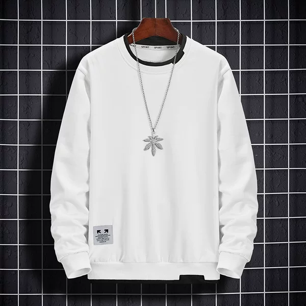 Cross-border Foreign Trade Men's Spring and Autumn Sports Top for Couples Trendy Brand Pullover Sweater Autumn and Winter Round Neck Fake Two Pieces