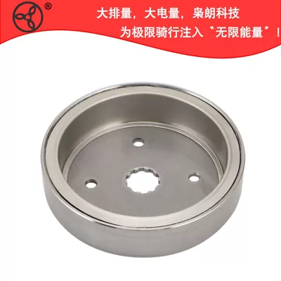 Motorcycle Flywheel Magnet Steel Suitable for Harley 89-99 Sportster 29957-81B 29956-7