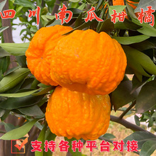 �����Ϲϸ���ؔ������rˮ���Ĵ��Fժ���l����������]�ǰҰҸ�