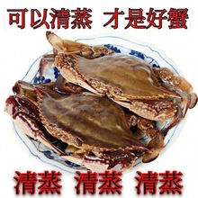(可清蒸)新鲜冷冻梭子蟹螃蟹母蟹公蟹海鲜水产二母蟹小娘蟹批发价