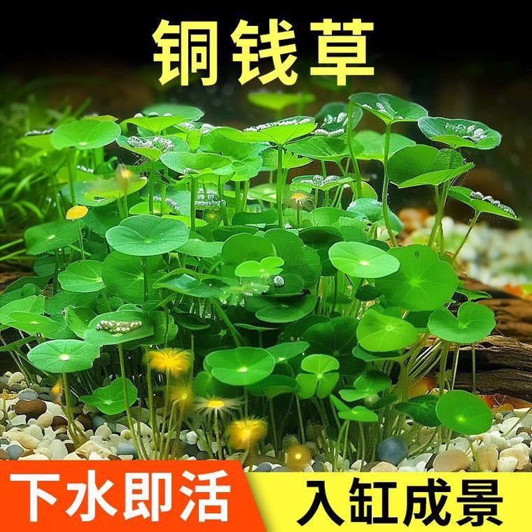 c0d979a5-2328-47cf-b1ac-ed61a3cb3025.jpe