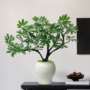 ���_ľ���Կ͏d��լ����ֲ��������P�˷���ؔ�辰�k���ҾGֲ����