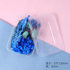 Wholesale Dried & Eternal Flowers for DIY: Epoxy Resin, Scented Candles, Photo Frame Fillers, Floating Floral Arrangements, and Pressed Flower Materials