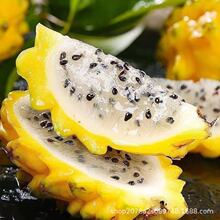 ����������C���������r�SƤ���Ļ������Ꭷ�خaˮ��������]