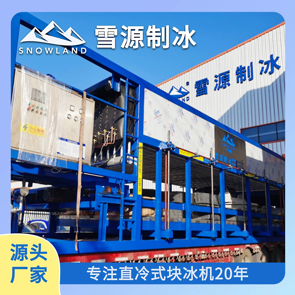 Ледогенератор Xueyuan на 12 тонн, производство безсолевого льда, энергосберегающий и экологичный, полностью автоматизированный для экономии затрат на труд.