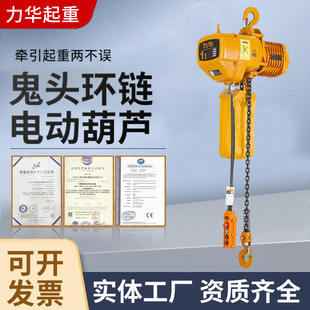 Wholesale fixed HHBB ghost head type 0.5 tons 1 tons 2 tons electric chain hoist ghost head electric chain hoist