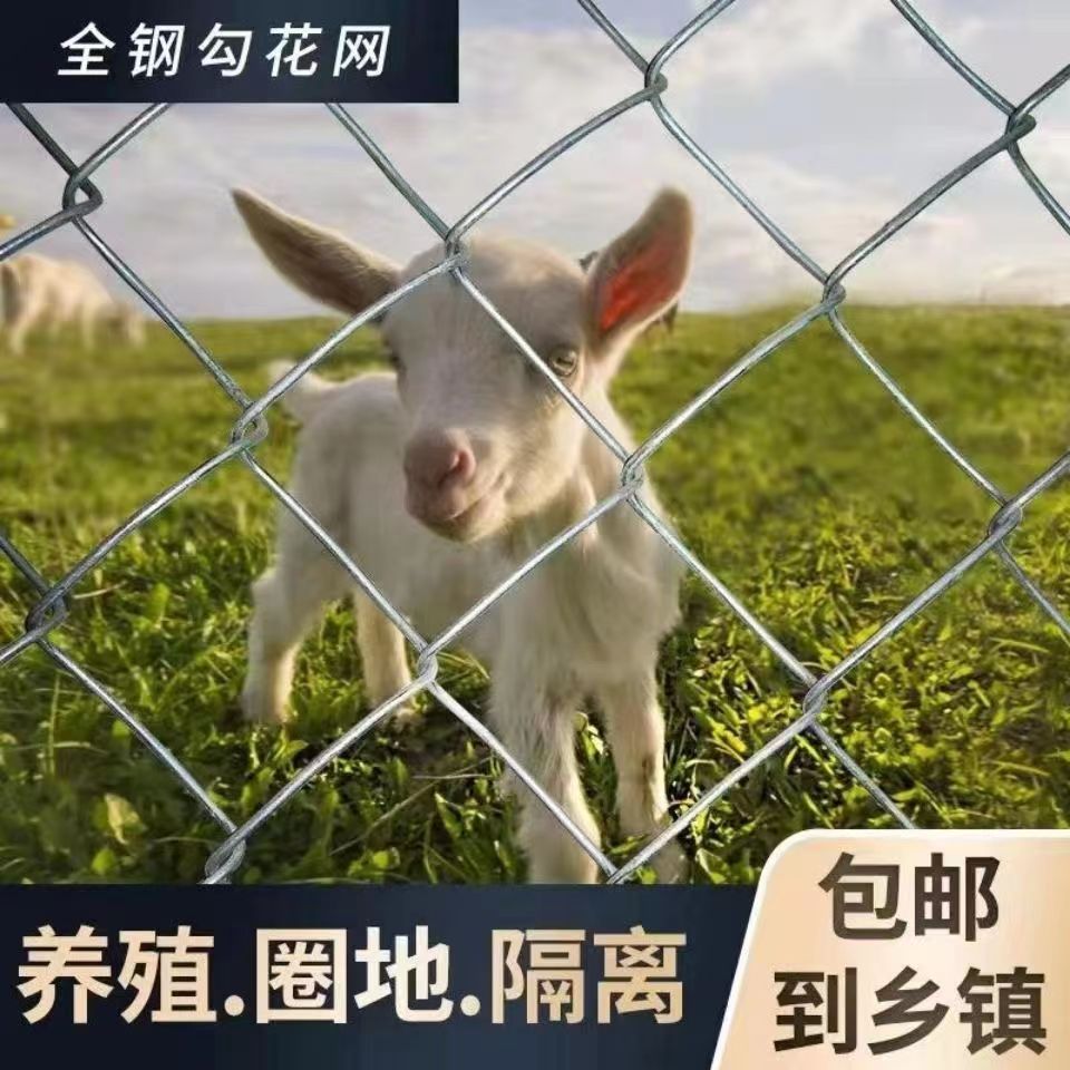 热镀锌钢丝勾花网铁丝网围栏隔离网果园家禽养殖牛羊网果农场围网