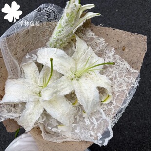 �ٽz�ٺϻ���ϵ��ɣƤ���r�����b������diy�����W������ˇ�Y��