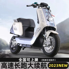 电动摩托车;电动三轮车
