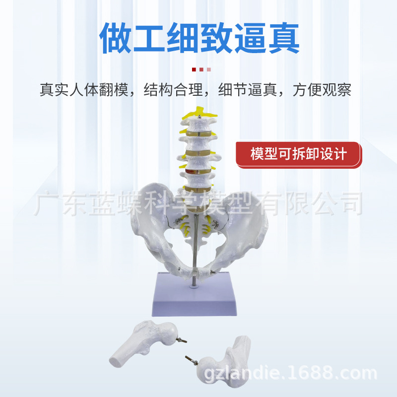 1��1���Թ���걾ģ���Ĺ����ǳܹ���ʾ��Ȼ�����������׵������