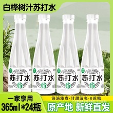 愉果先生白桦树汁苏打水天然0蔗糖健康网红饮品整箱-L其他常温