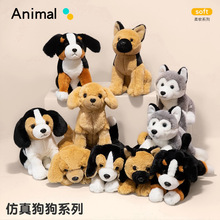 �羳���湷ϵ����żſ�˹�ʿ��ë�q������˷���Ȯ���Ѓ�ͯ�Y��