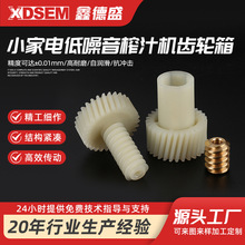 正齿轮小家电低噪音榨汁机齿轮箱斜齿轮蜗杆涡轮 塑料齿轮注塑齿