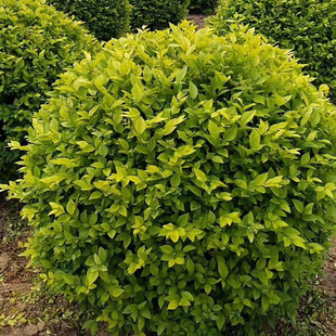 �������~Ůؑ�� Ҏ���Rȫ����ڷ��� �ֵ����̾G�����Ե�����ľ