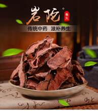 ���Ұ������500��ë��t �t��Ұ�S��������؛��؛��؛