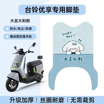 Vehicle Waterproof Wire Loop Electric vehicle foot mat