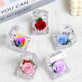 充水热水袋;蚊帐、床幔;暖脚宝