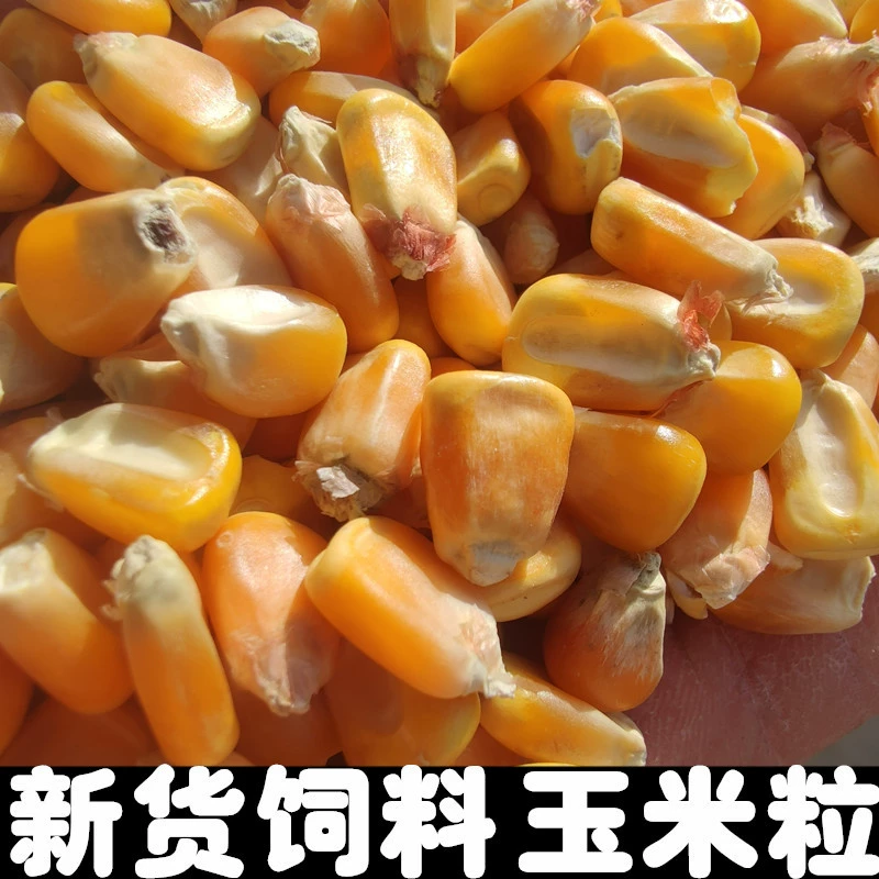 Новый кукуруза пшеница голубь питание Turtledove хомяк питание питательное Питание корма для птиц Racing Pigeon Генеральная Pigeon питание