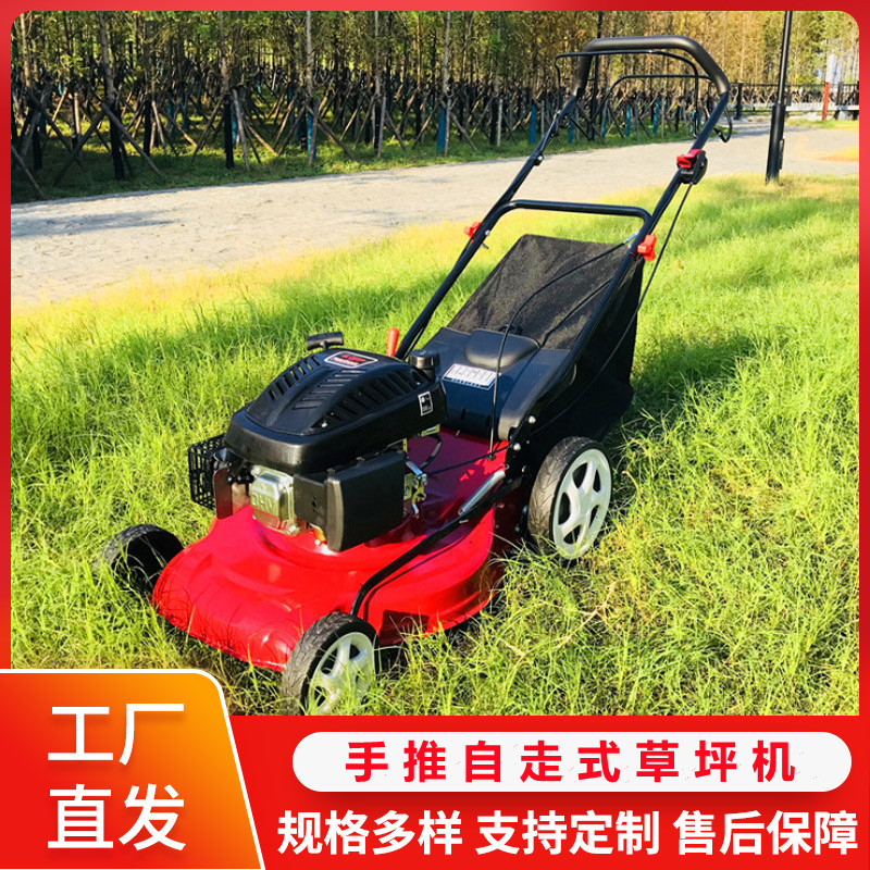 现货汽油自走式草坪机 20寸果园草坪除草机 四冲程手推割草机