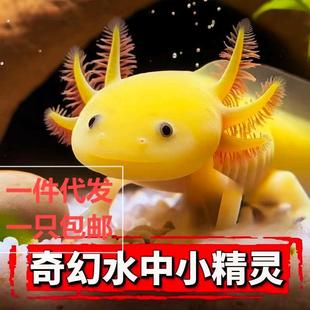 ���ǿ����~��ˮ�^�p�~ϔ�ˮ�匙����������ˮ���B�׻�W�t�~