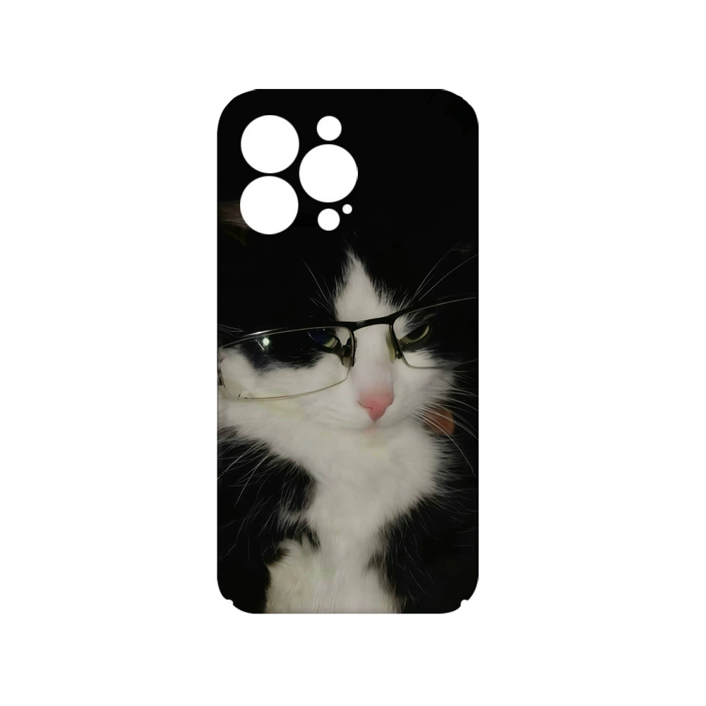 Apple, iPhone16, совместимый iPhone16 Pro, чехол для телефона, 2 в 1, 14/13/12