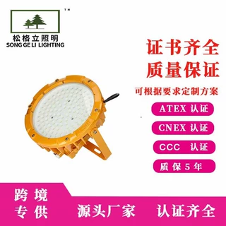 防爆灯定制加工带停电应急功能发电厂化工厂炼油厂高亮足国标LED