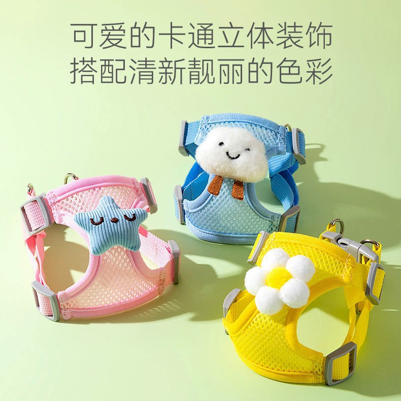 Тедди Пес Тедди Бьет Собака Тедди Бьет Собака Тедди Бьет Грудь Собачий Цепь Домашние животные