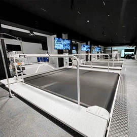 其他滑雪用品;跑道草坪;其他球类配套