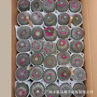 ������ֱ���������_�����������ԾӼ��k�����ܾGֲ����ֲ�����B