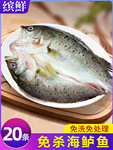 海鲈鱼开背新鲜冷冻鲜活深海七星鲈鱼海鱼卢鱼水产烤鱼半成品商用